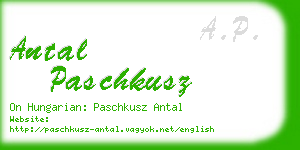 antal paschkusz business card